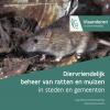 Diervriendelijk beheer van ratten en muizen in steden en gemeenten